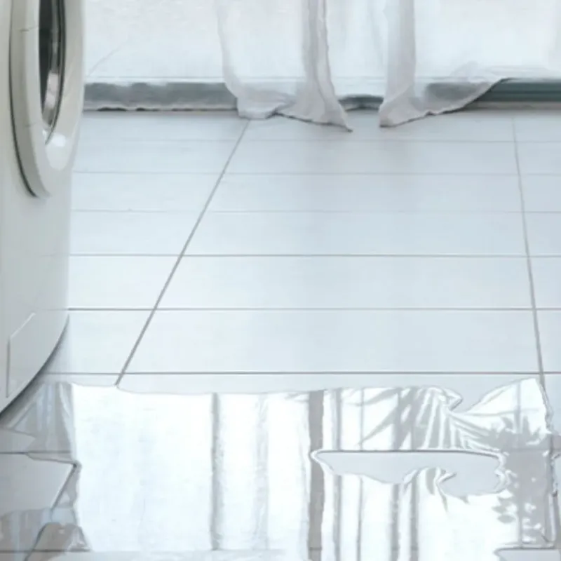 Appliance Leak Cleanup in Willard, MO
