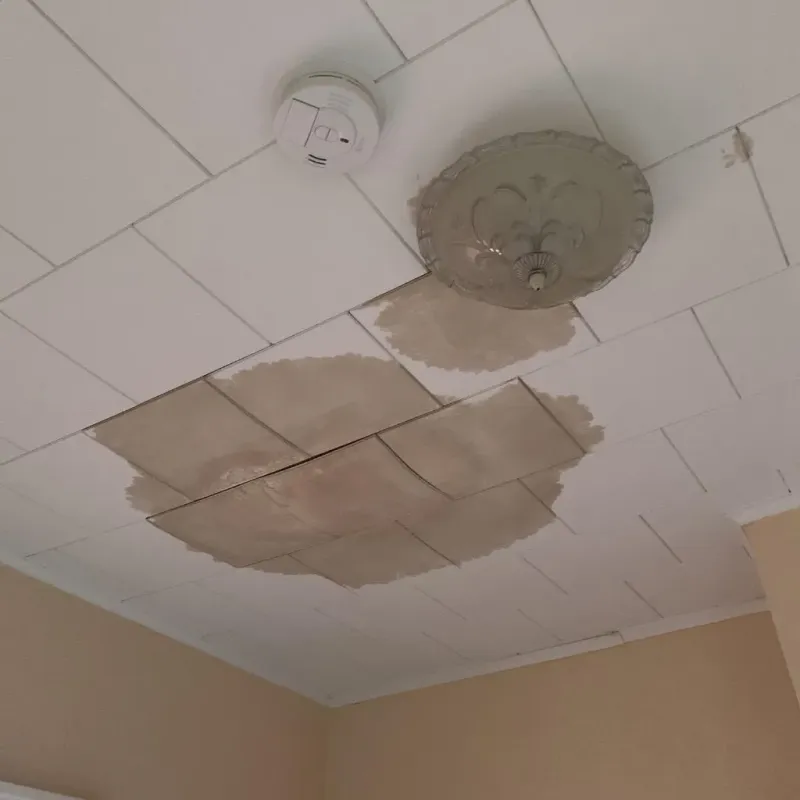 Ceiling Water Damage Repair in Willard, MO