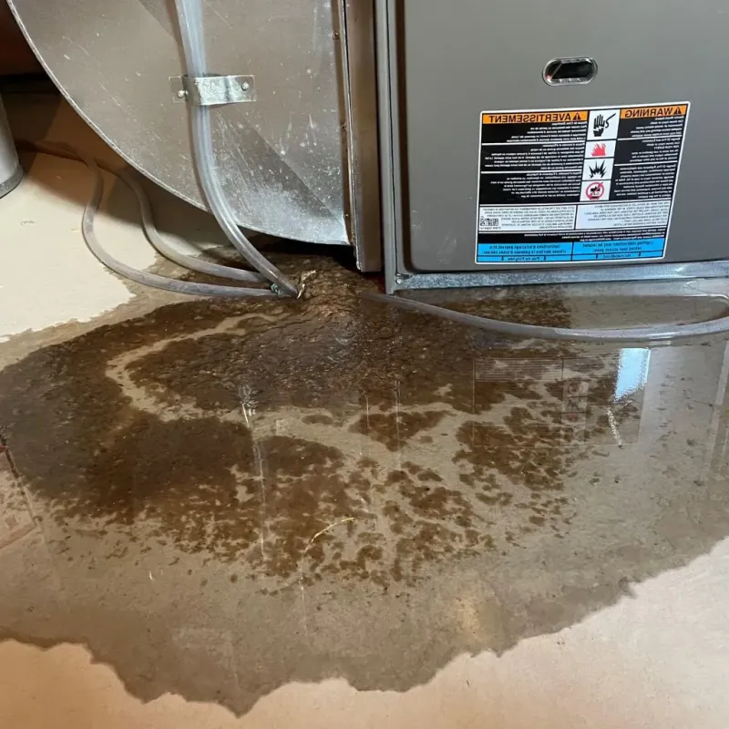 Pipe Burst and Leak Restoration in Willard, MO