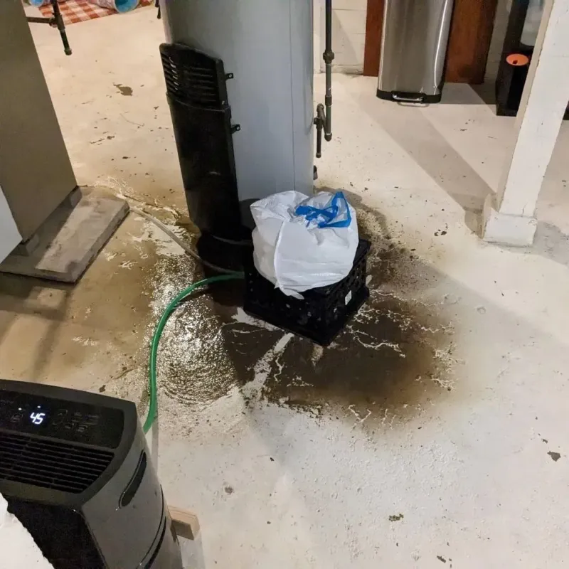 Sewage Backup Cleanup Service in Willard, MO